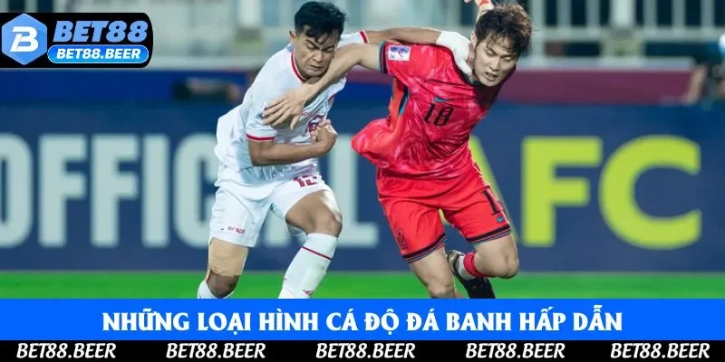 Tổng hợp những loại hình cá độ đá banh hấp dẫn