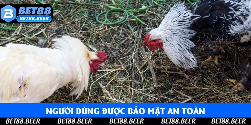 Người dùng được bảo mật an toàn, không lo về rò rỉ